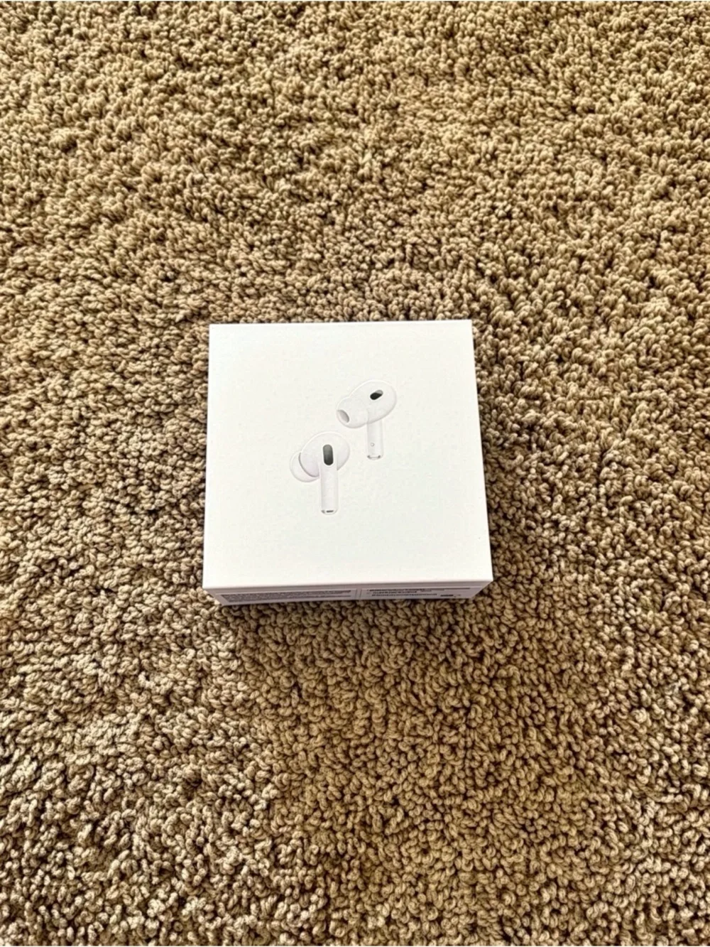 Apple AirPods Pro Earbuds - White